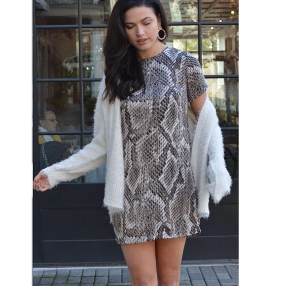 NWT Olivaceous Snake Print‎ Shift Dress Size Small - Picture 1 of 10